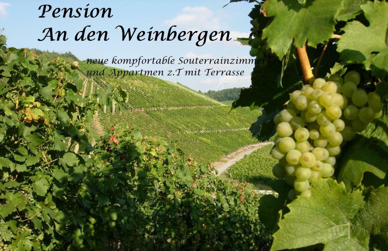 Pension An Den Weinbergen Walluf Exterior photo